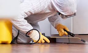 Best Residential Pest Control  in Lake Lakengren, OH